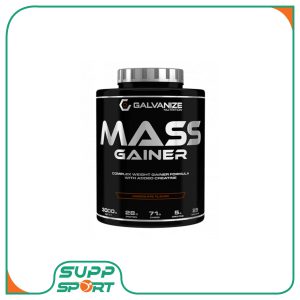 مس گینر 3 کیلویی گالوانایز