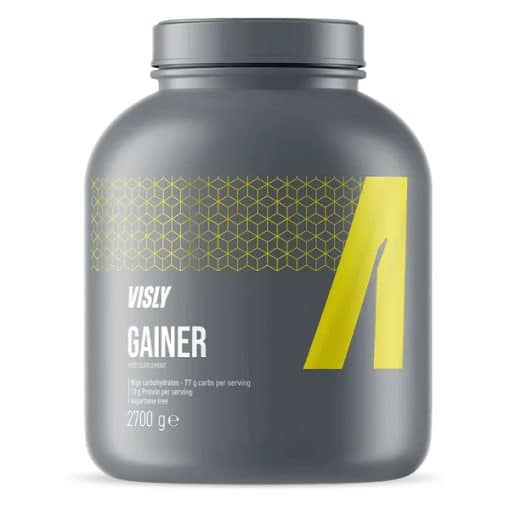 VISLY GAINER گینر ویسلی 2700گرم(VISLY GAINER 2700GR)