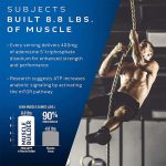 MUSCLETECH PLATINUM MUSCLE BUILDER