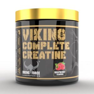 کراتین کمپلیت وایکینگ 300گرم (VIKING COMPLETE CREATINE)