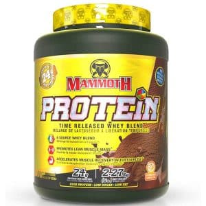 پروتئین وی ماموت 2.27کیلوگرم (Mammut protein whey)